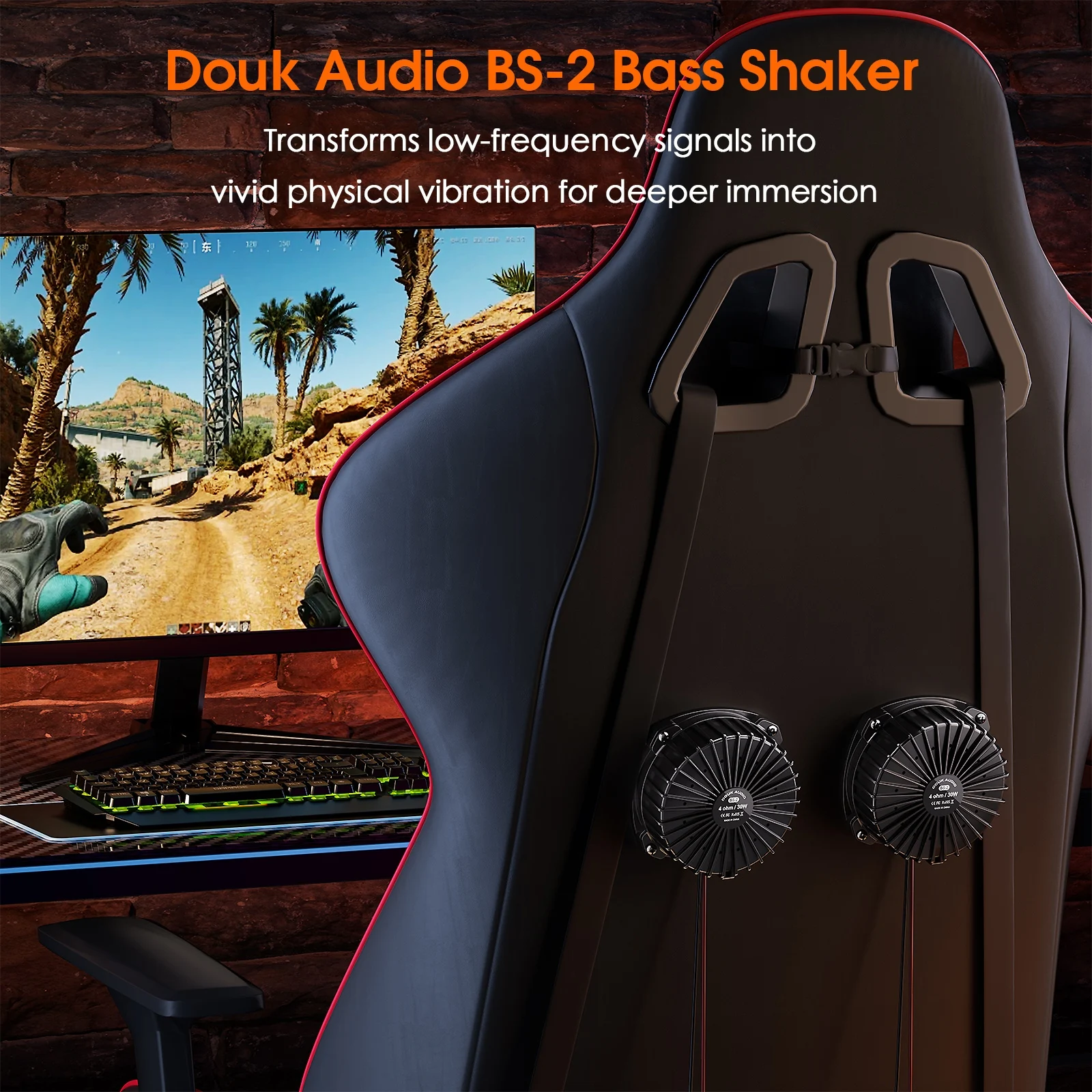 Douk Audio BS-2 30W 4Ω Bass Sh - огляд і ціна Home Cinema Recliner Chairs